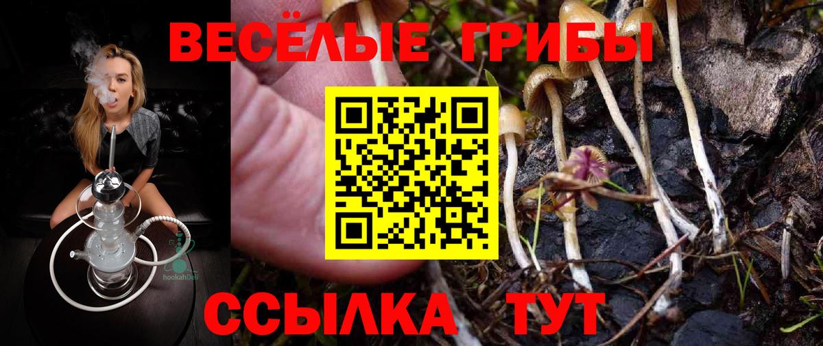 Галлюциногенные грибы MAGIC MUSHROOMS Гулькевичи