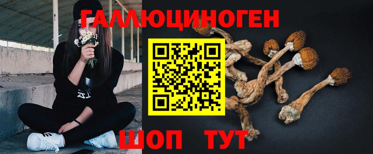 Гулькевичи  Галлюциногенные грибы Psilocybe  Вход с VPN  Галлюциногенные грибы Cubensis 